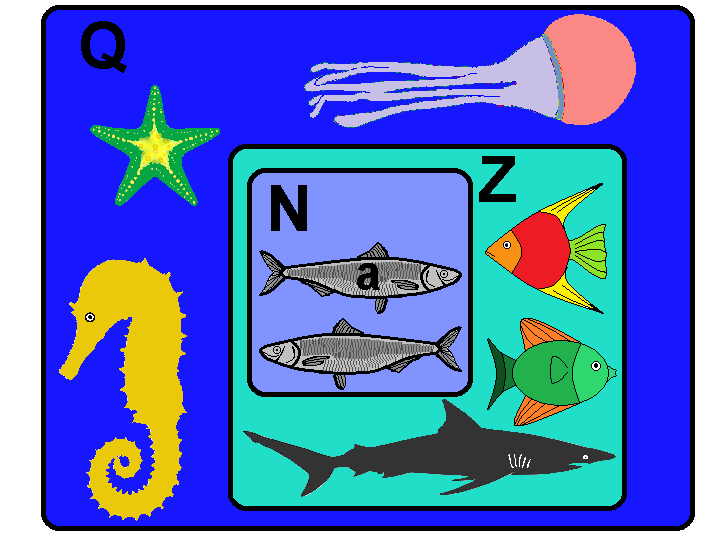Множество морских животных Q