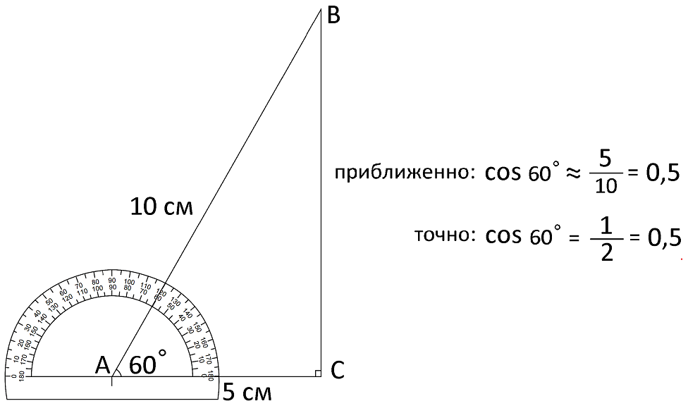 Пример вычисления косинуса 60°